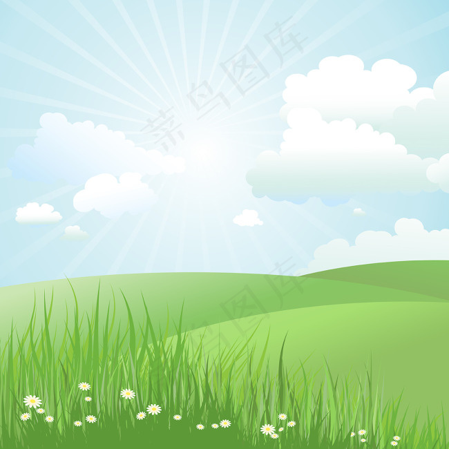 雏菊在草夏季景观