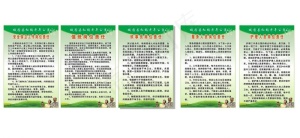 老年公寓制度图片