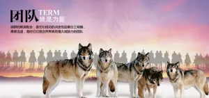 团队就是力量PSD分层模板