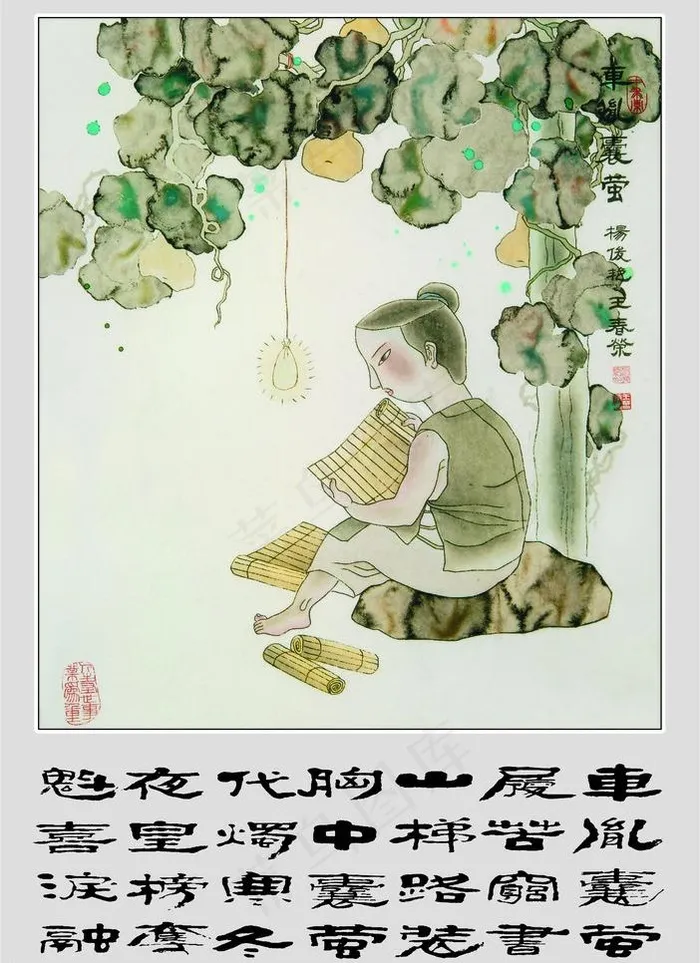 东胤囊萤图片