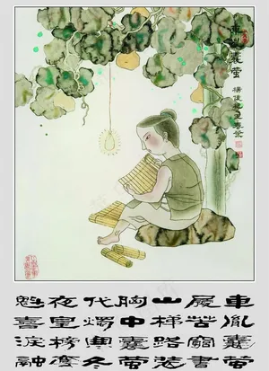 东胤囊萤图片