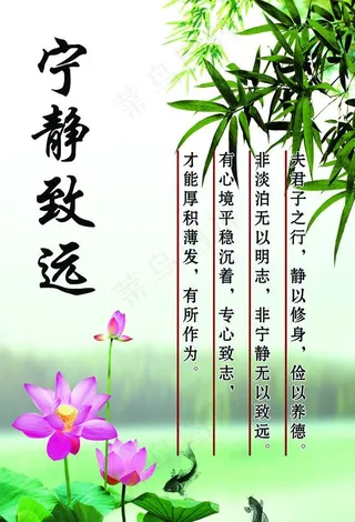 宁静致远文化展板图片