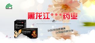 黑龙江药业网页海报
