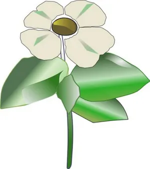 太平洋山茱萸山茱萸藻剪贴画