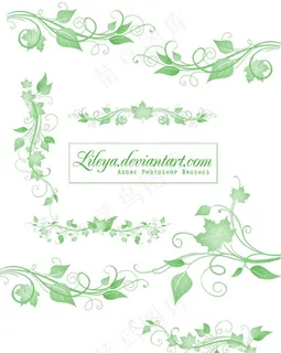 植物花纹花边笔刷图片