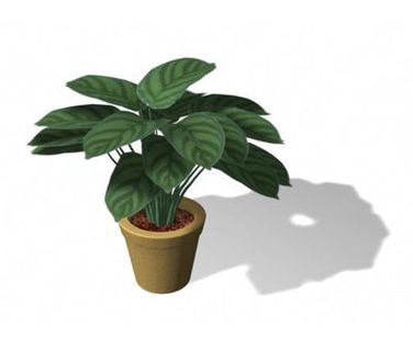 植物盆栽室内装饰素材免费下载盆栽3d模型素材 203 植物盆栽室内装饰素材免费下载盆栽3d模型素材 203