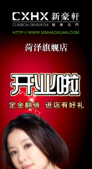 新豪轩门业《开业X展架》