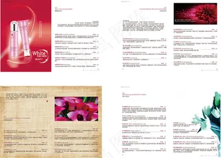 化妆品宣传画册