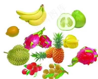 南方水果图片 南方水果图片