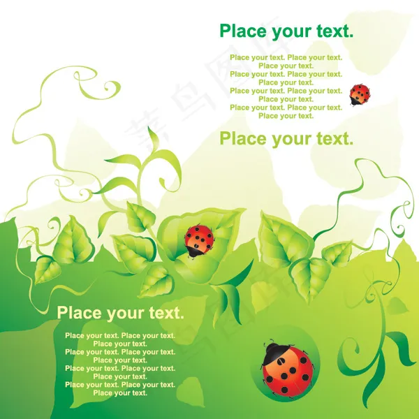 绿叶植物瓢虫水滴花边矢量图