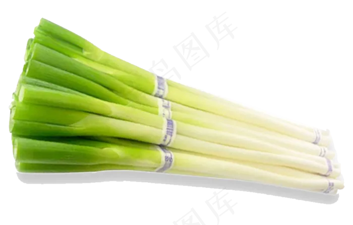 蔬菜大葱设计装饰元素psdpsd模版下载