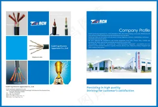 产品单页 宣传单页 扉页