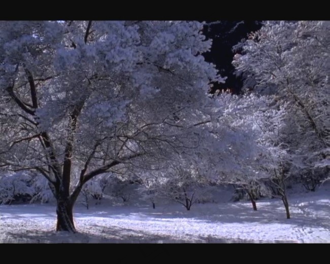 雪景视频素材