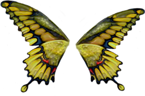 黄色美工视觉设计蝴蝶翅膀免扣素材