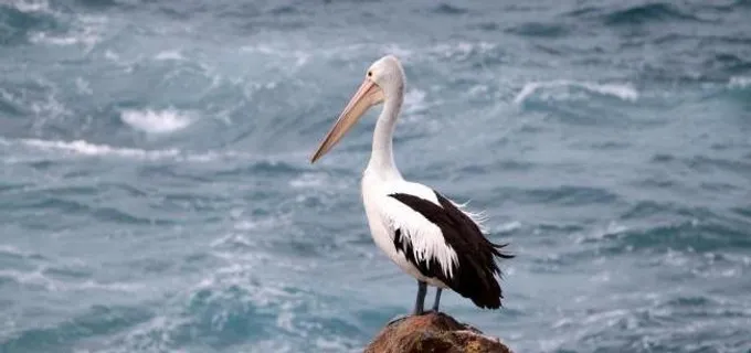海滩风光图片 海滩风光图片