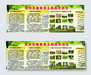 茶庵葡萄采摘园图片