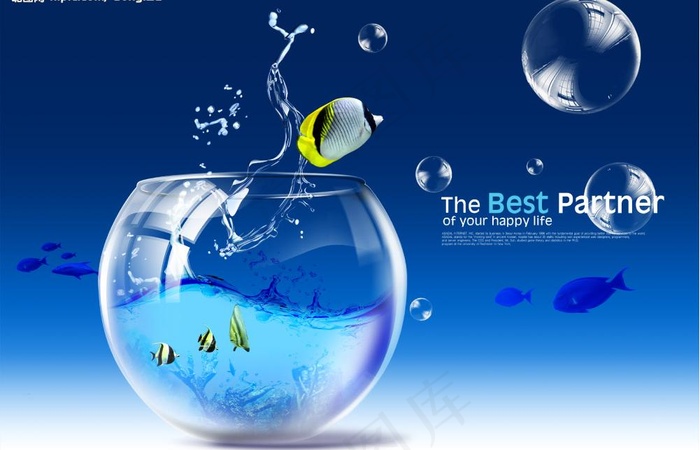 夏日热带鱼图片