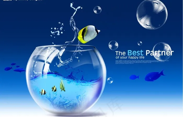 夏日热带鱼图片psd模版下载