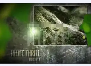 绿叶掩盖中的墙壁照片AE展示模板