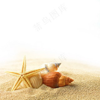 夏季海边沙滩度假区小岛免扣背景pn...