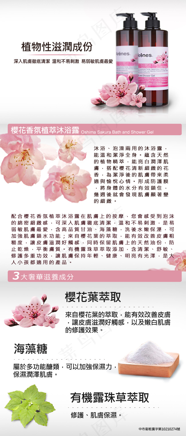 櫻花素材淘宝促销模版psd模版下载