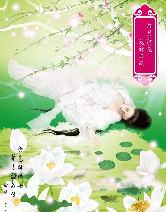 六月荷花 花神西施(原创)图片