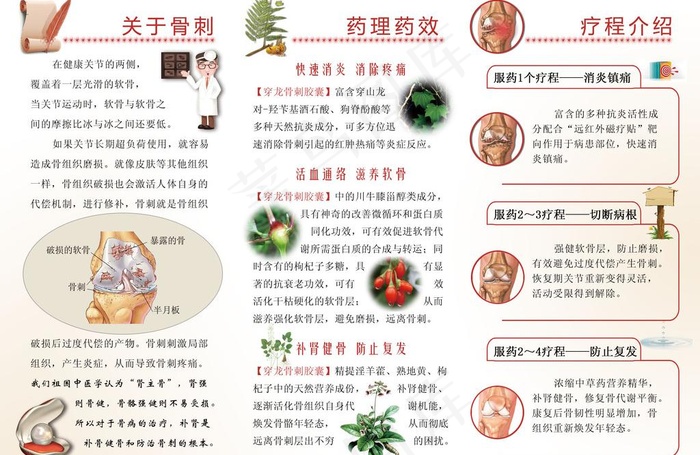 骨病药品宣传折页图片psd模版下载