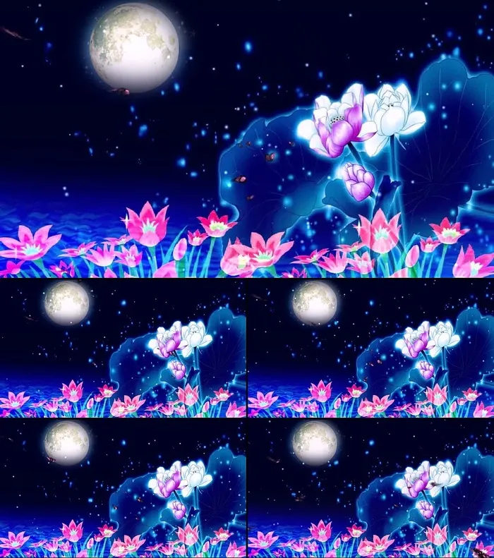 唯美夜色月亮粒子夜晚星空蝴蝶花萤火...