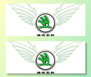 翅膀图片