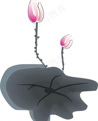 中国风 水墨 荷花图片