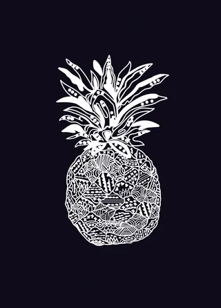黑白菠萝简笔插画