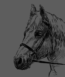 手画马向量集04