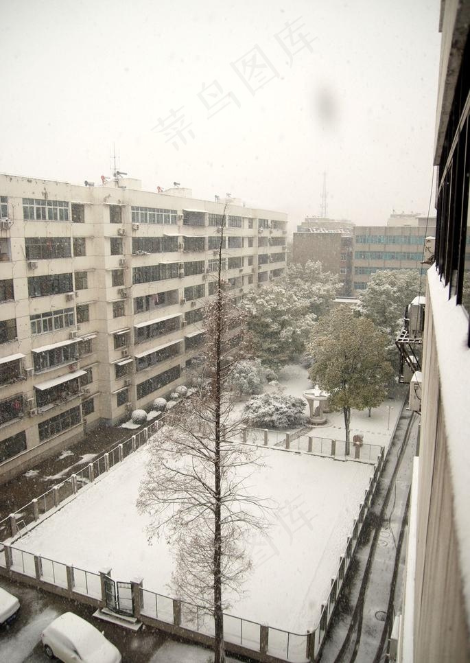 下雪 雪景 冬天图片