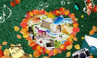 浪漫枫叶边框图片