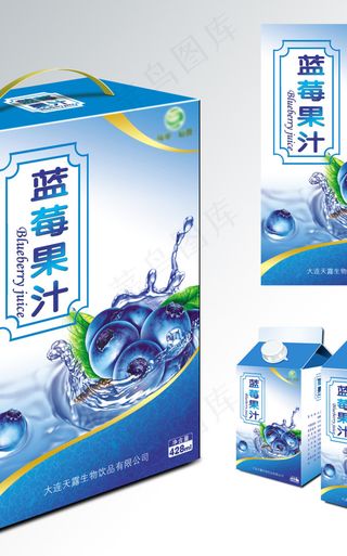 蓝莓果汁包装（平面图