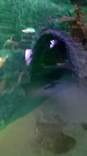 山洞图片 山洞图片