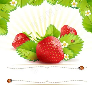 新鲜草莓图片