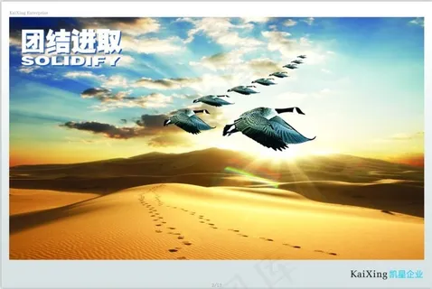 企业文化之团结进取