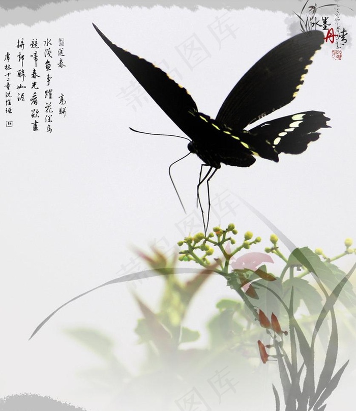 蝶恋花图片