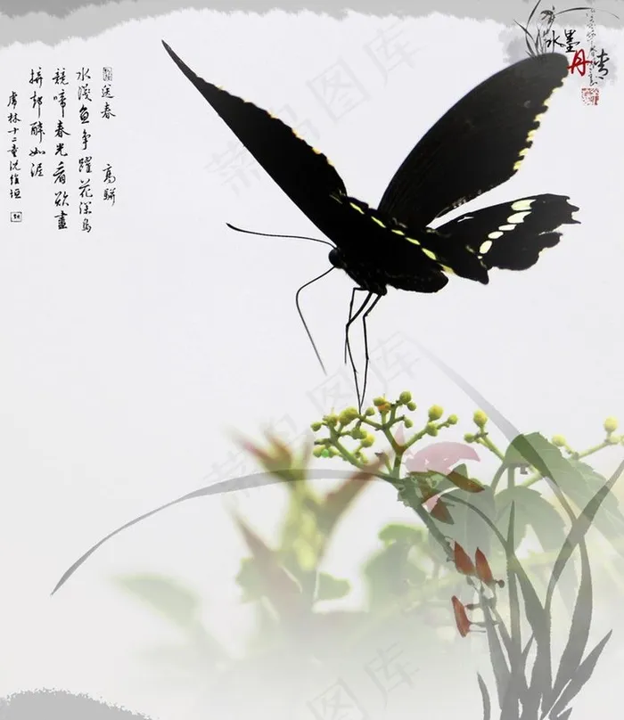 蝶恋花图片