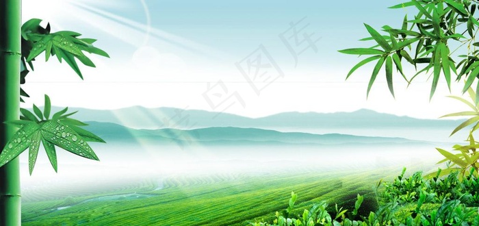 春天 自然风景图片