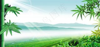 春天 自然风景图片