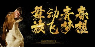 大气2018狗年舞动青春放飞梦想展...