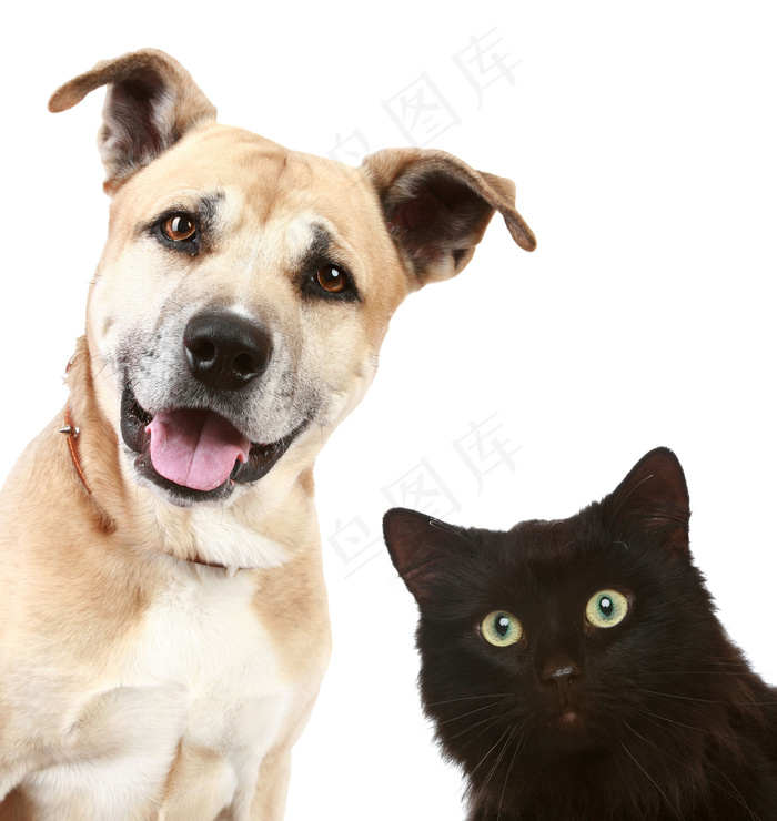 Stock Photos Funn...