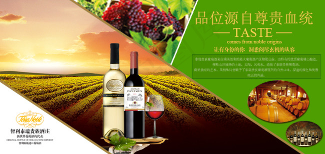 葡萄酒海报(790X376(DPI:72))psd模版下载