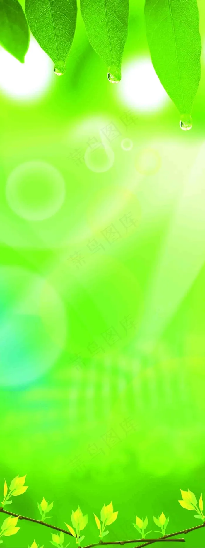 绿色背景素材psd模版下载