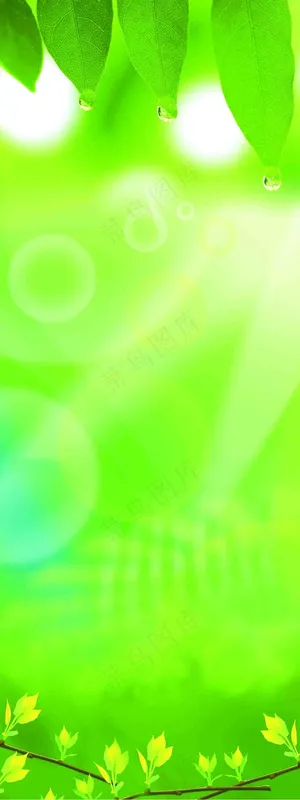 绿色背景素材 绿色背景素材