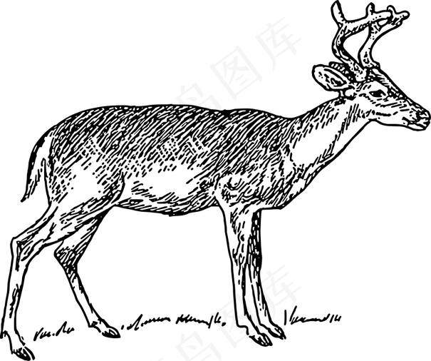 鹿1