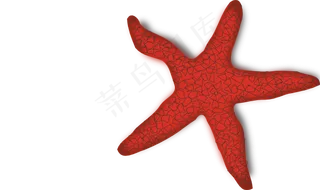 插件红海星剪贴画