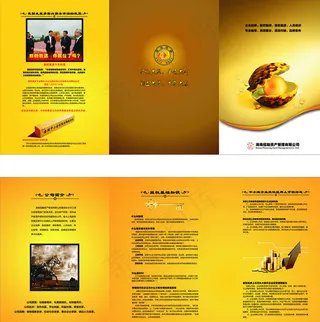 公司三折页图片